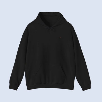 Heavy Blend™ Hooded Sweatshirt ENSIGMA X